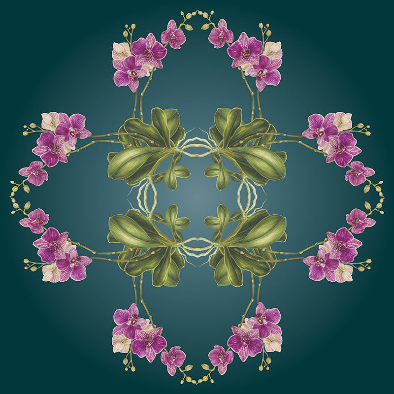Exotic-Orchid-Botanical-Mural-Teal-by-Adrienne-Kerr-1.jpg