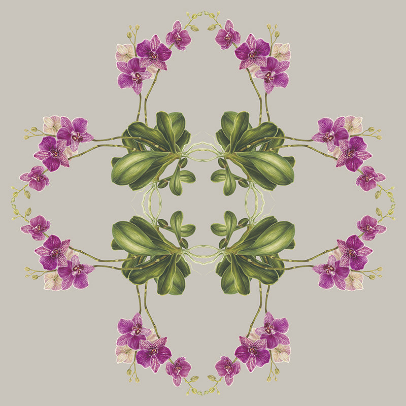 Exotic-Orchid-Botanical-Mural-by-Adrienne-Kerr.jpg