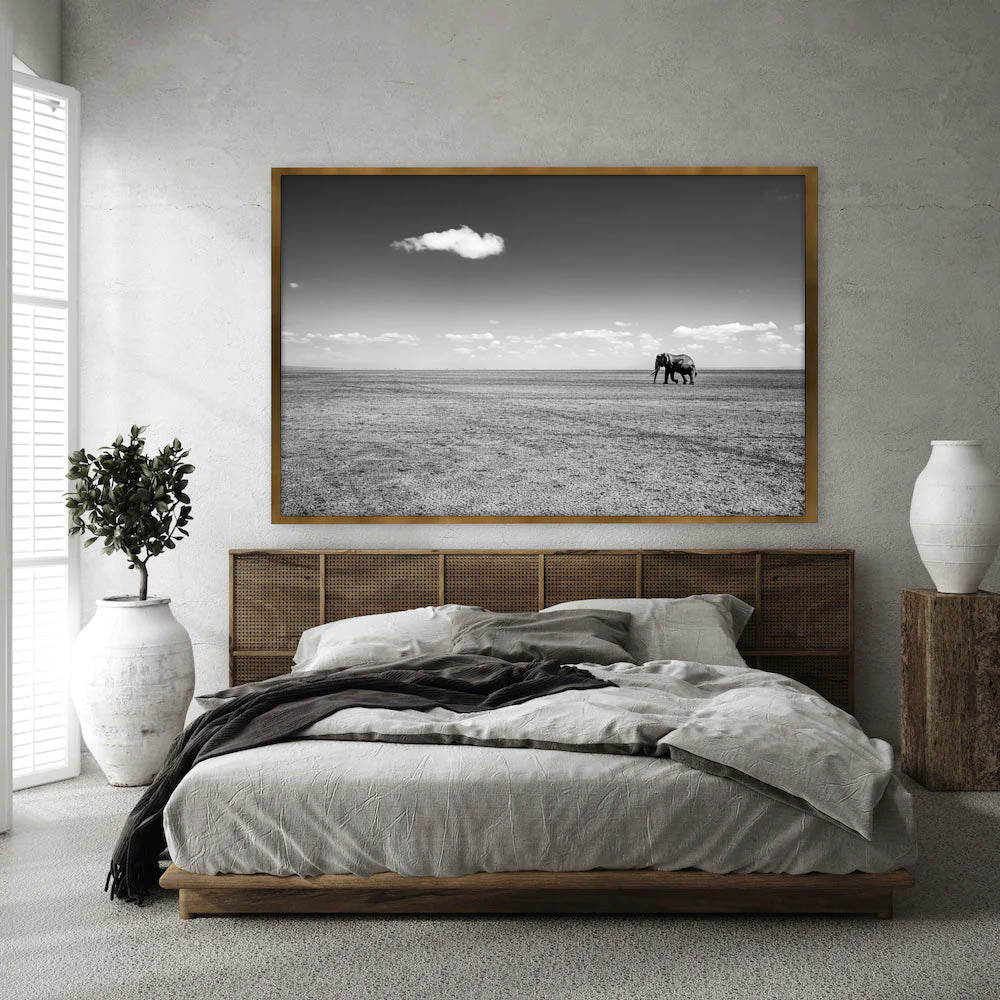 Expanse-insitu.jpg