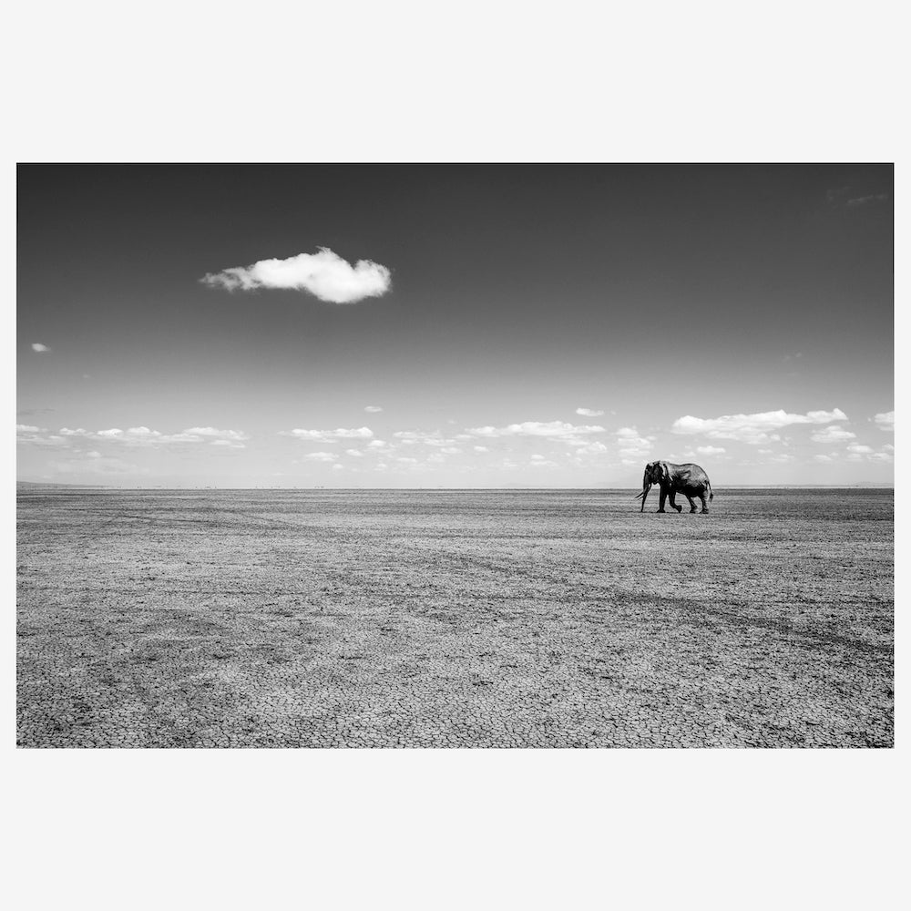 Expanse-insitu.jpg