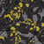 FATSIAYELLOW-800x800-1.jpg