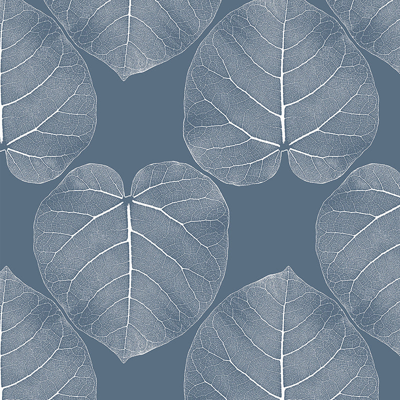 FICUS-Atlantis.jpg