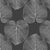 FICUS-Atmosphere.jpg