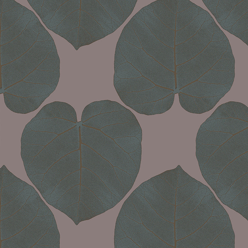FICUS-Crushed-Shell.jpg