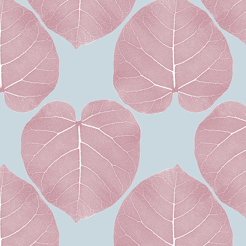 FICUS-Diamond.jpg