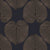 FICUS-Onyx.jpg