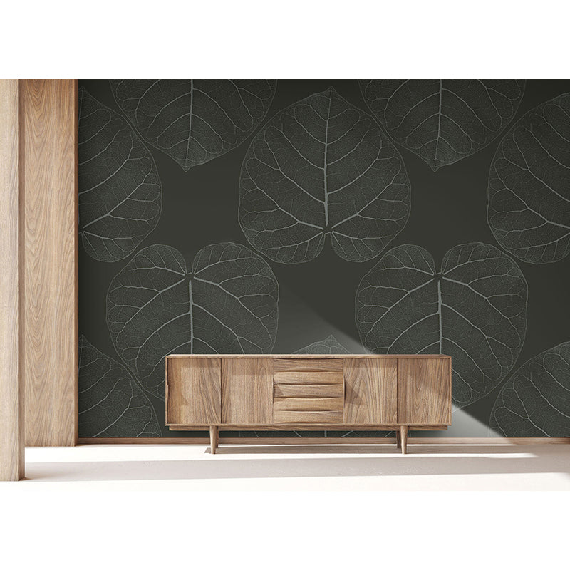 FICUS_ChocolateDream_Insitu.jpg