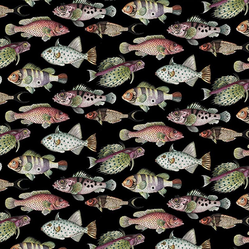 Fish-Black.jpg