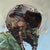 Fly-Girl-RSW-Flat-Image.webp
