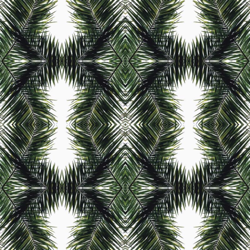 Folding-Foliage-Clinton-Friedman-e1468589334530.jpg