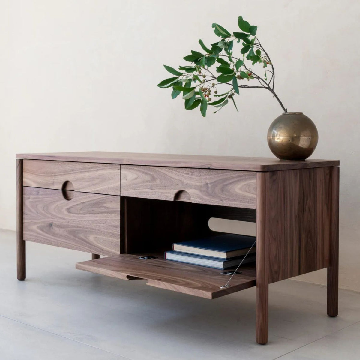 Franc_media_cabinet_side_2.jpg