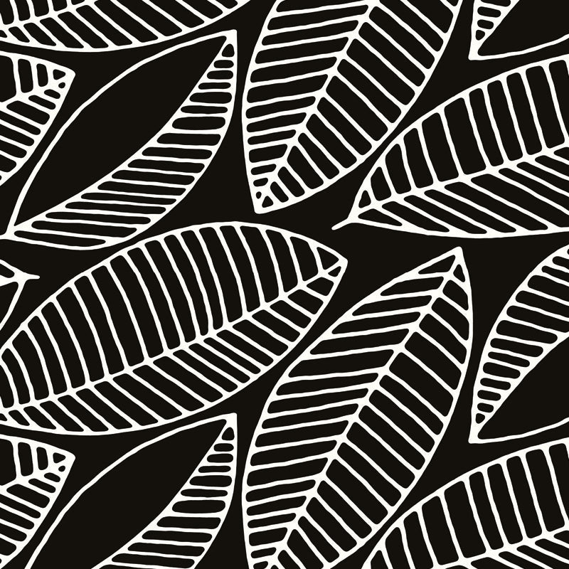 Frangipani2.jpg