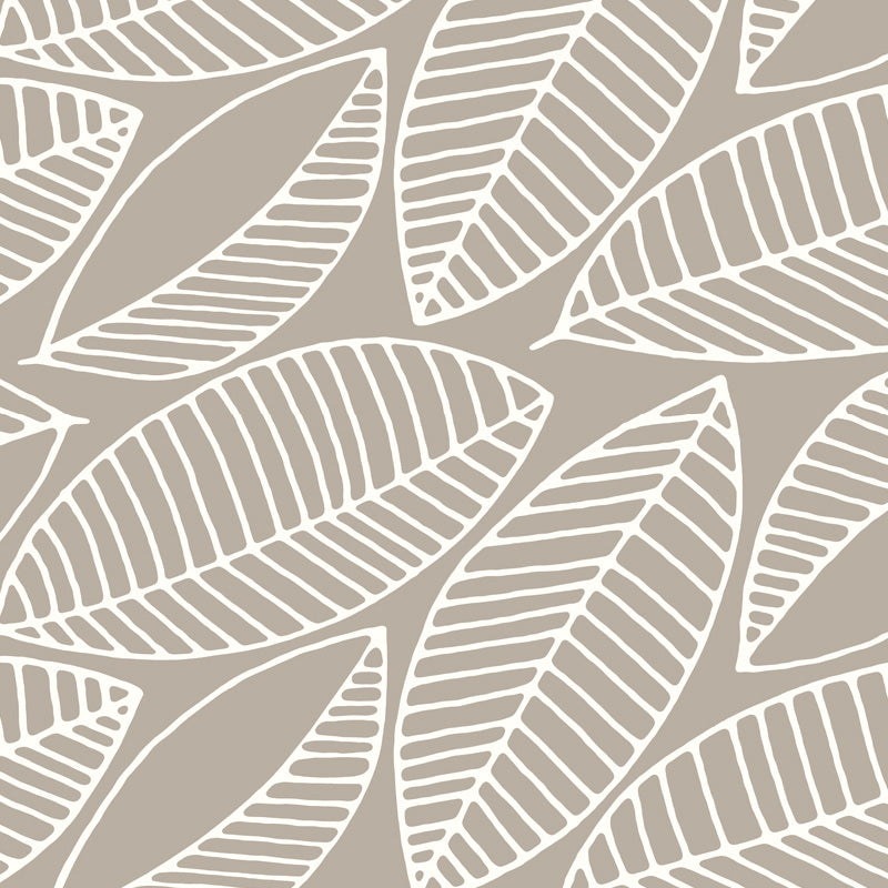 Frangipani3.jpg
