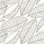 Frangipani4.jpg