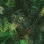 FreshM_vc2_RGB_800x800_300dpi.jpg