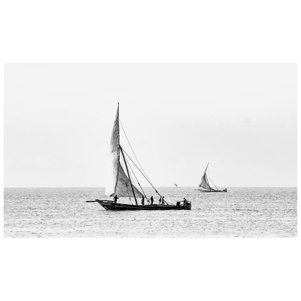 Full_20Sail_20Insitu.jpg