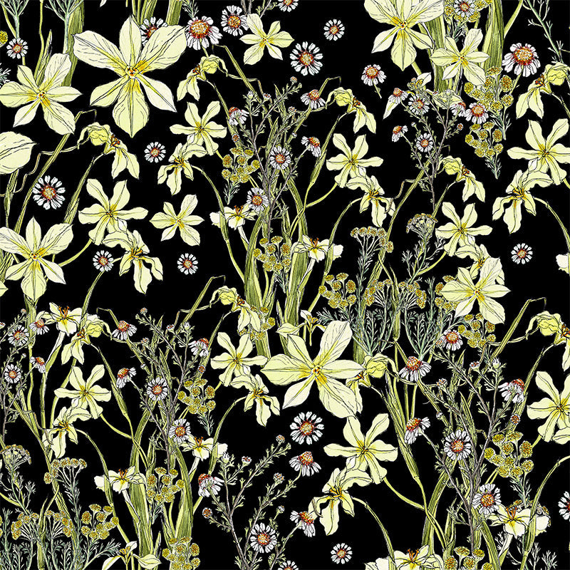 Fynbos-Blooms-_-Moraea-and-Chamomile-by-CoralBloom.jpg