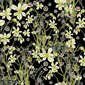 Fynbos Blooms – Moraea and Chamomile wallpaper