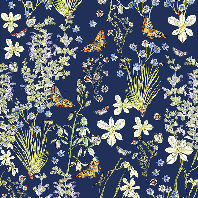 Fynbos-flutter-by-CoralBloom.jpg