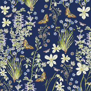 Fynbos Flutter: A Delicate Dance of Butterflies and Blooms wallpaper