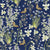 Fynbos-flutter-by-CoralBloom.jpg