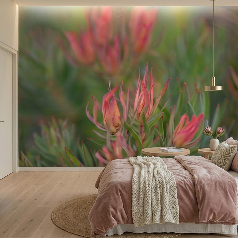 Fynbos Flare Wallpaper