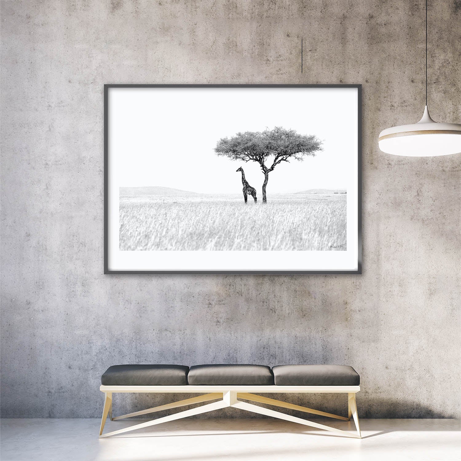 GiraffeMasaiMara-insitu.jpg