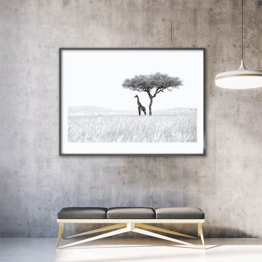 GiraffeMasaiMara-insitu.jpg