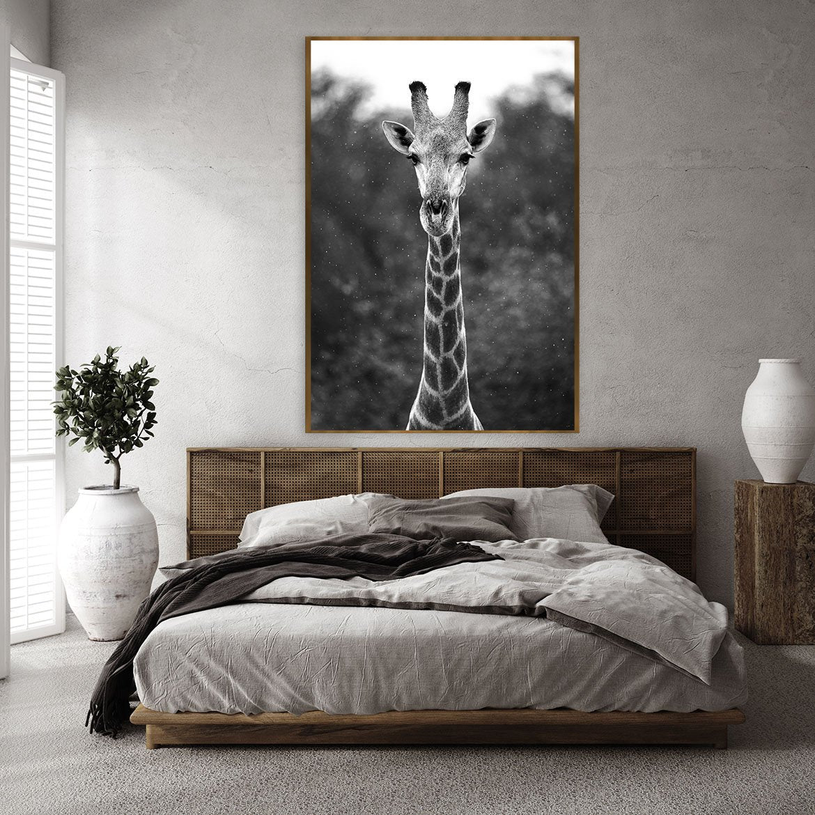 Giraffe.jpg