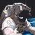 Go-Dad-copy.webp