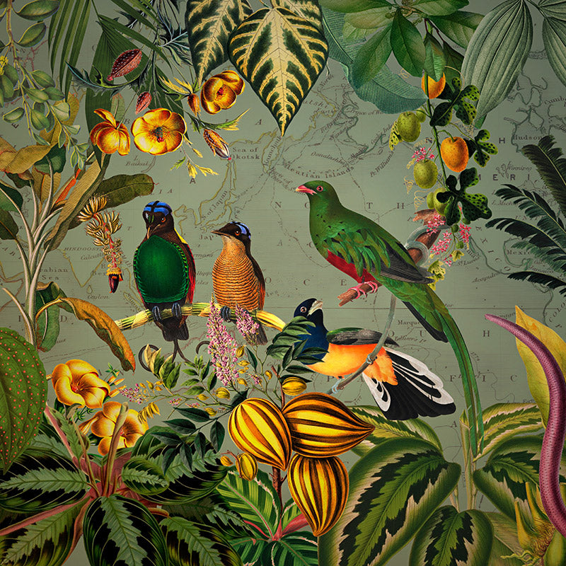 Green Tropical Birds with Yellow Flowers Wallpaper