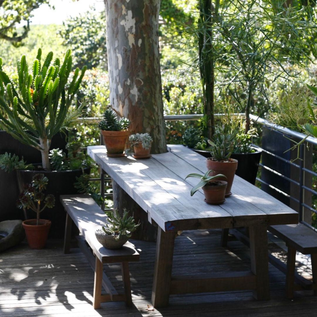 Harvest Outdoor table & bench lifestyle 2.jpg