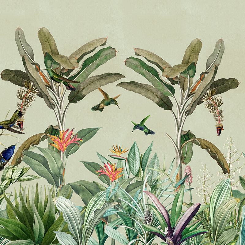 Hummingbird Panorama Wallpaper