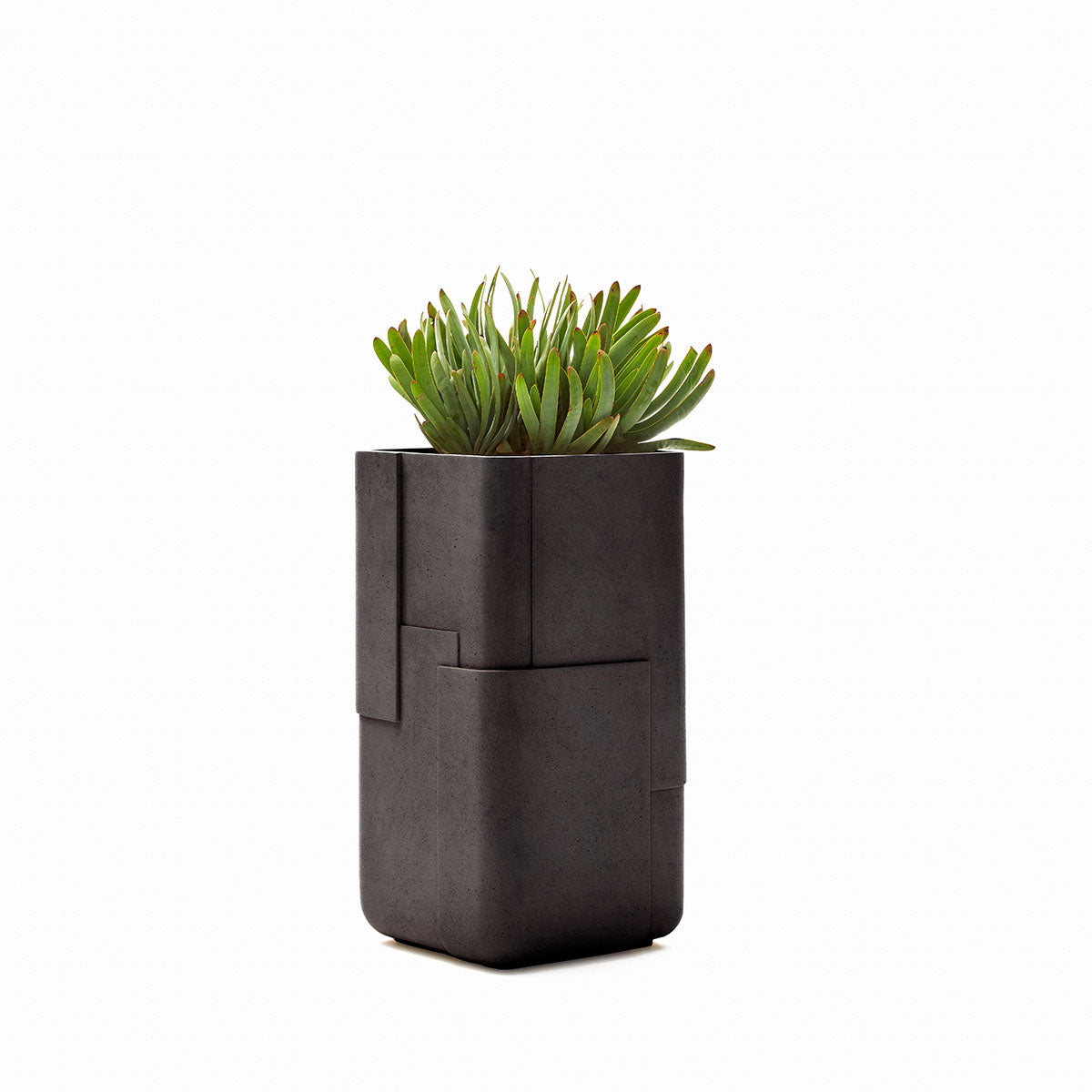 Aarde planter