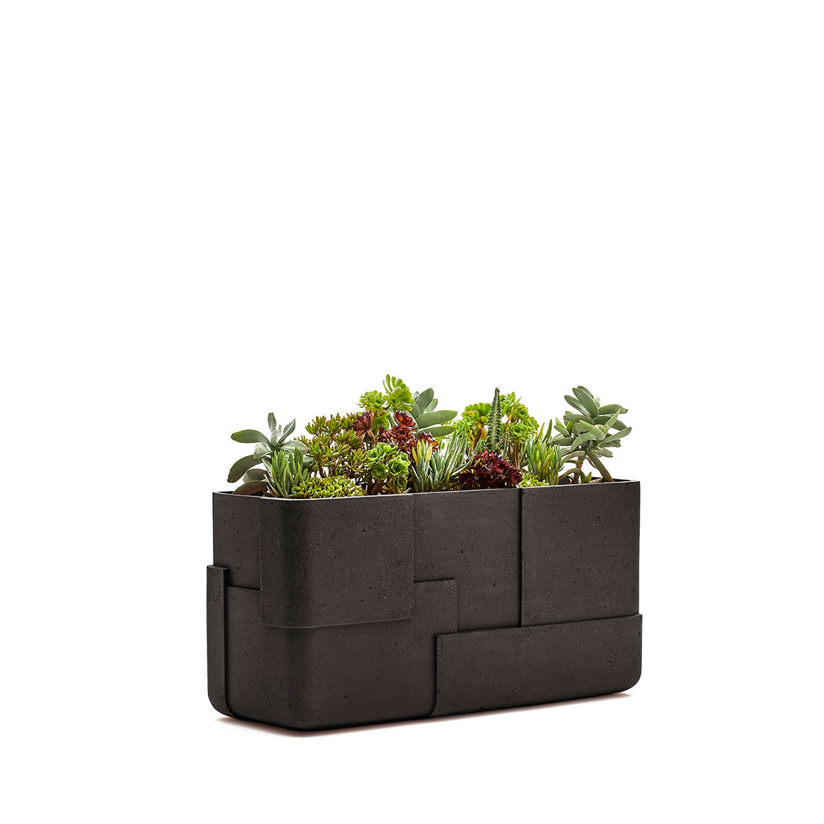 Aarde planter