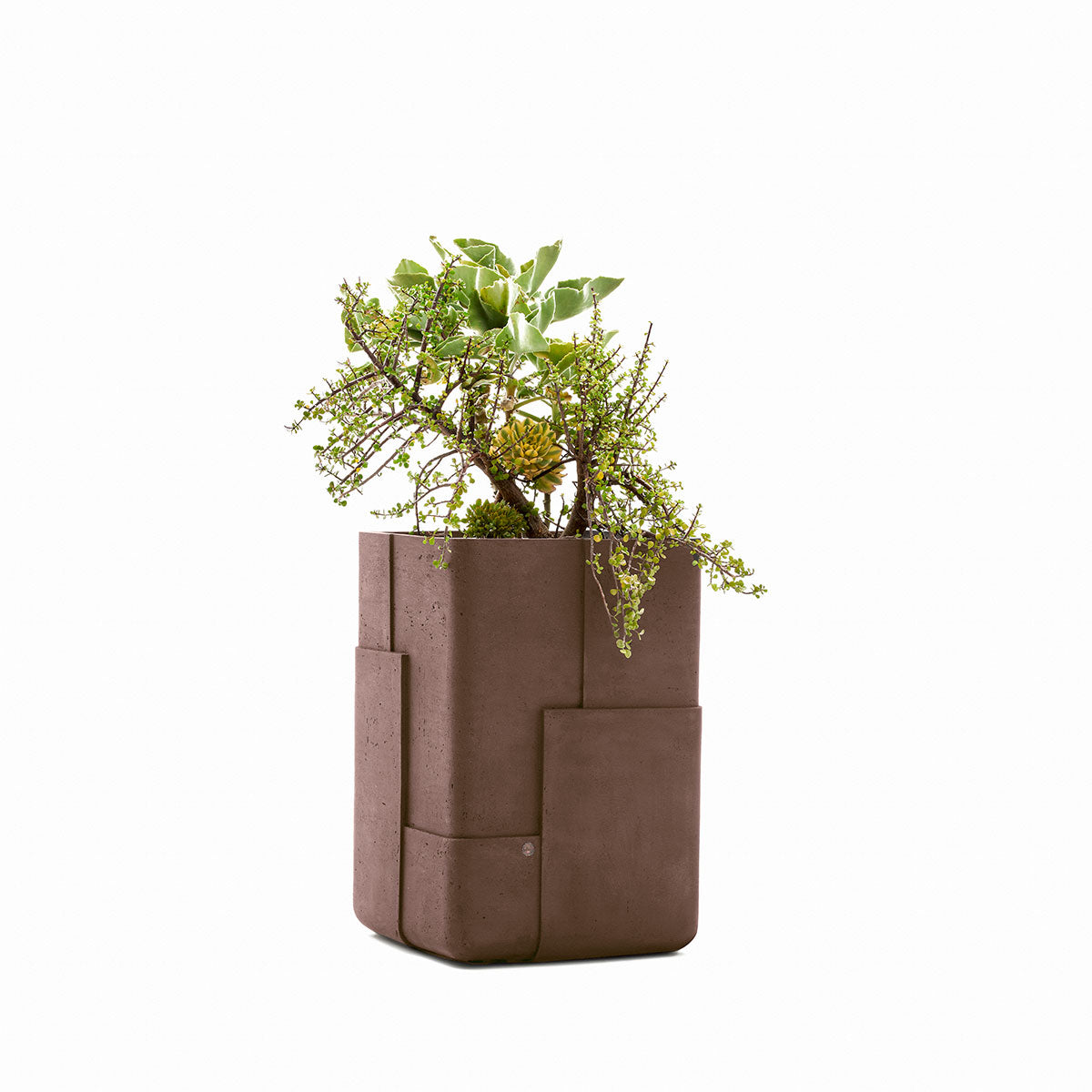 Aarde planter