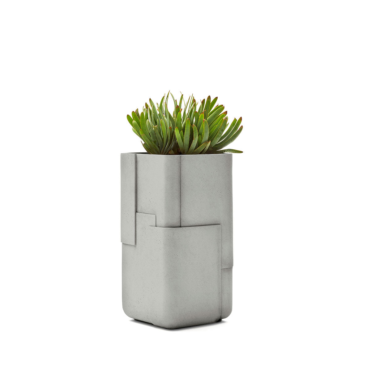 Aarde planter