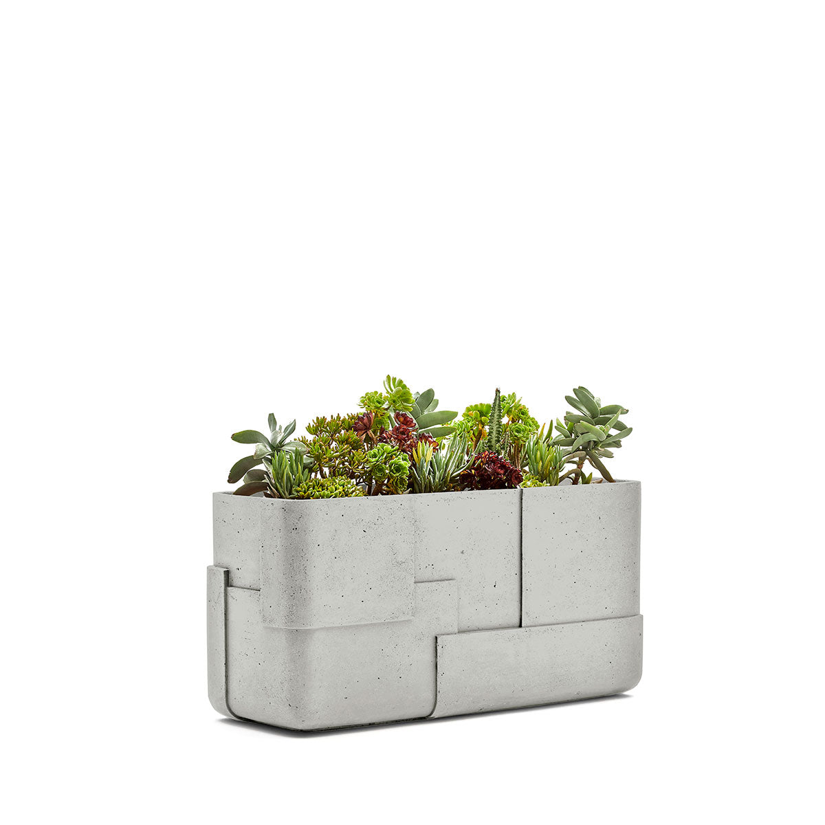 Aarde planter