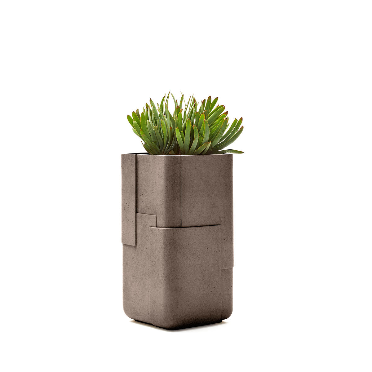 Aarde planter