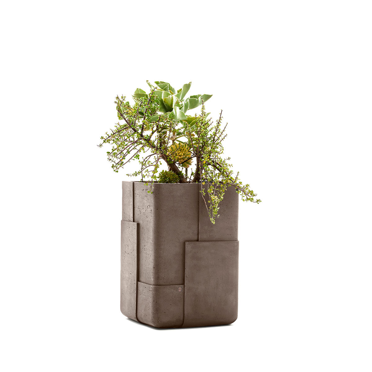 Aarde planter