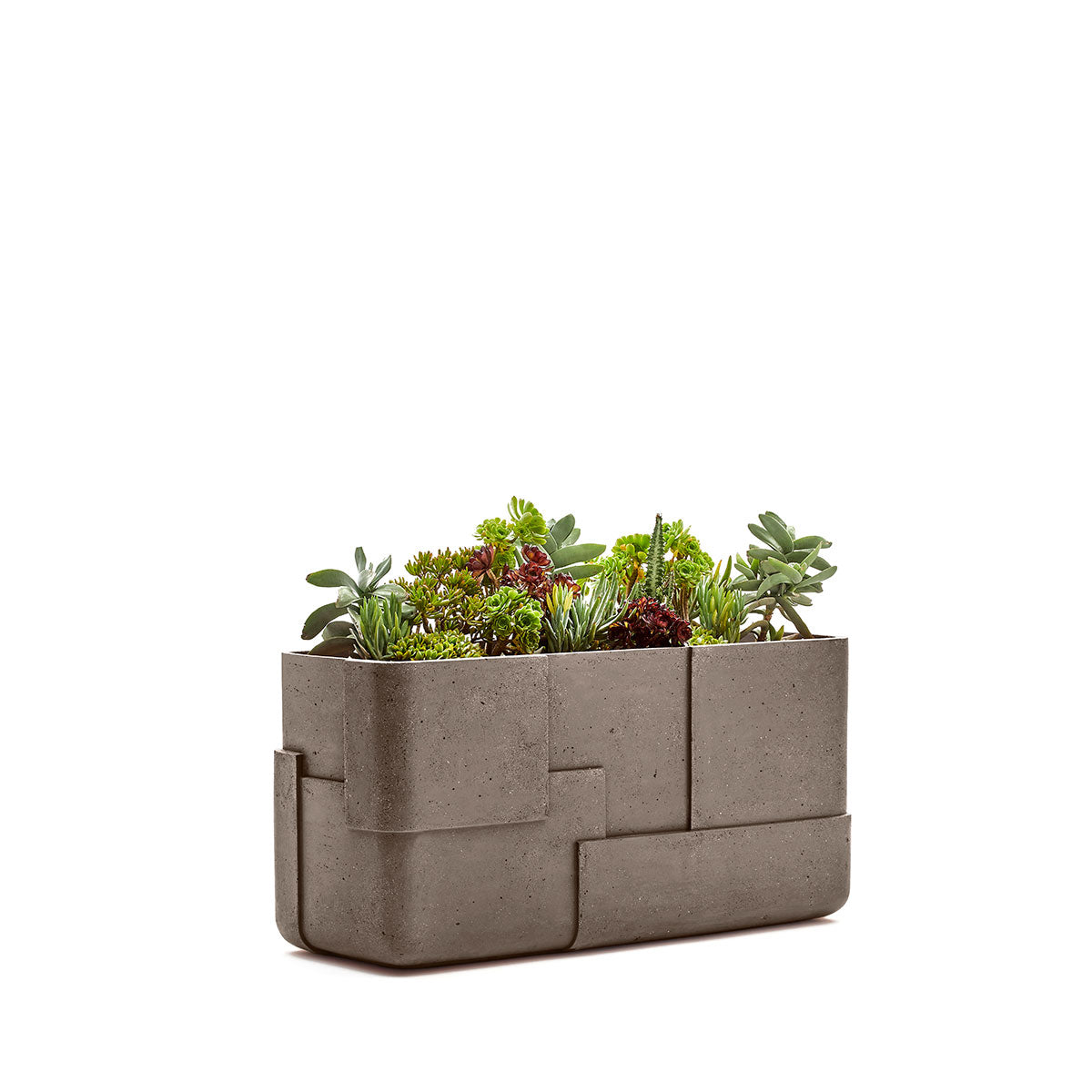 Aarde planter