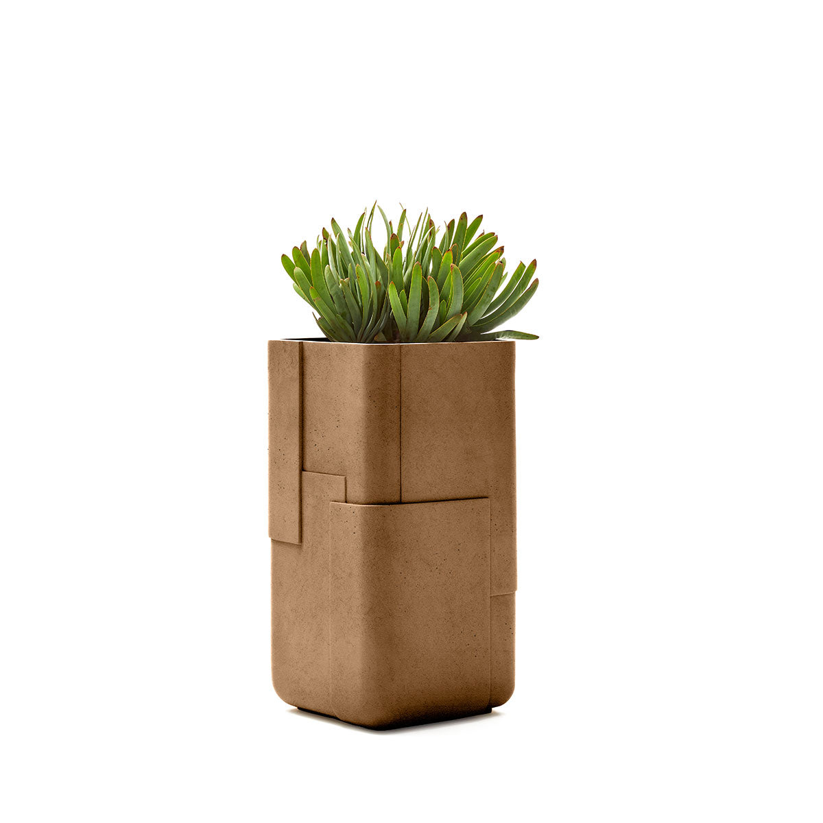 Aarde planter