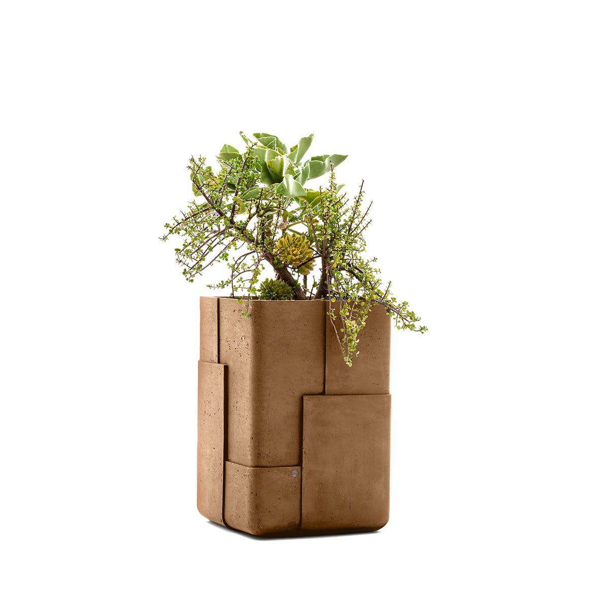 Aarde planter
