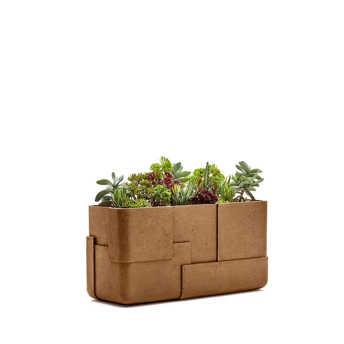 Aarde planter