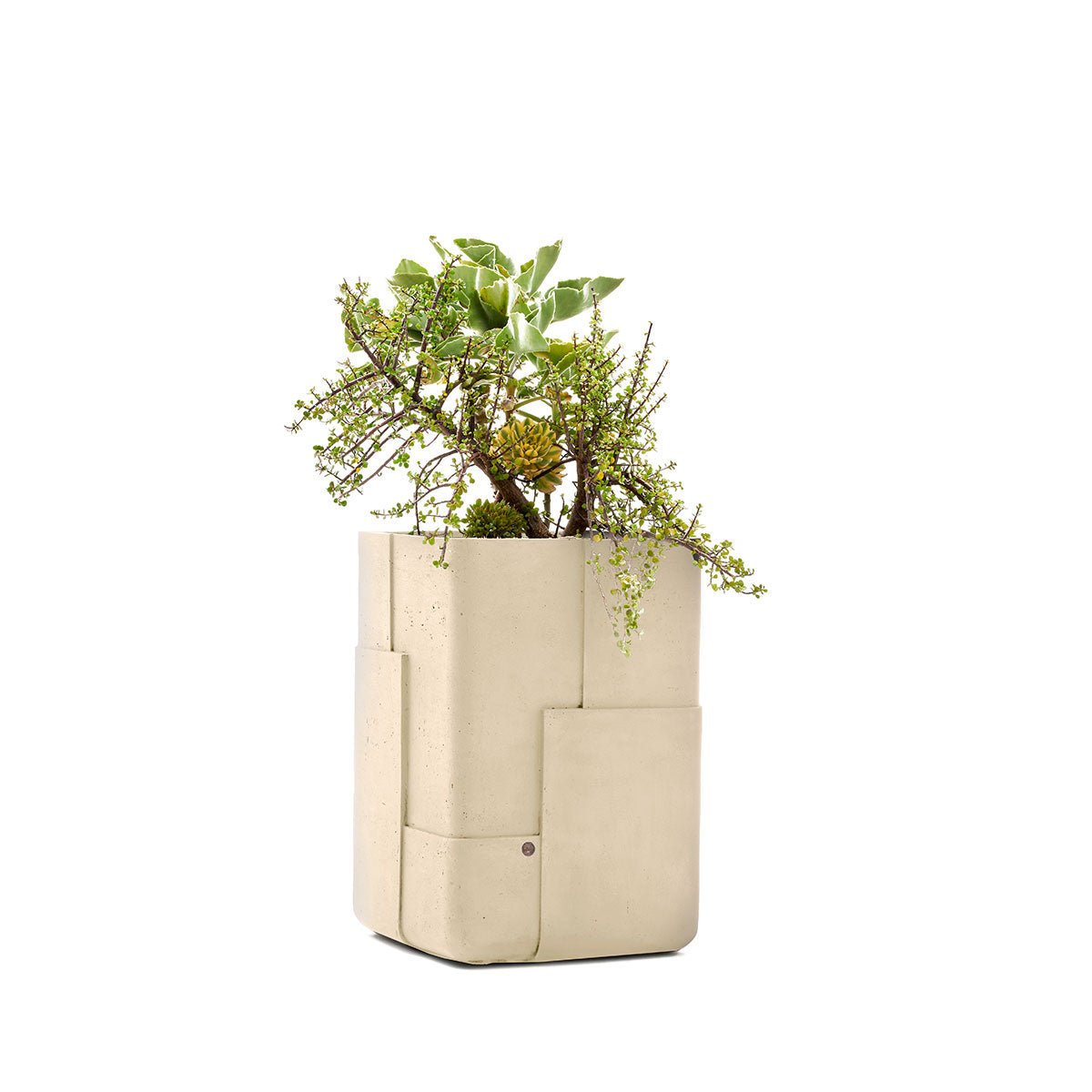 Aarde planter