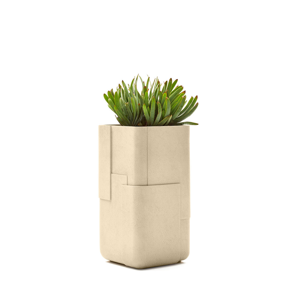 Aarde planter