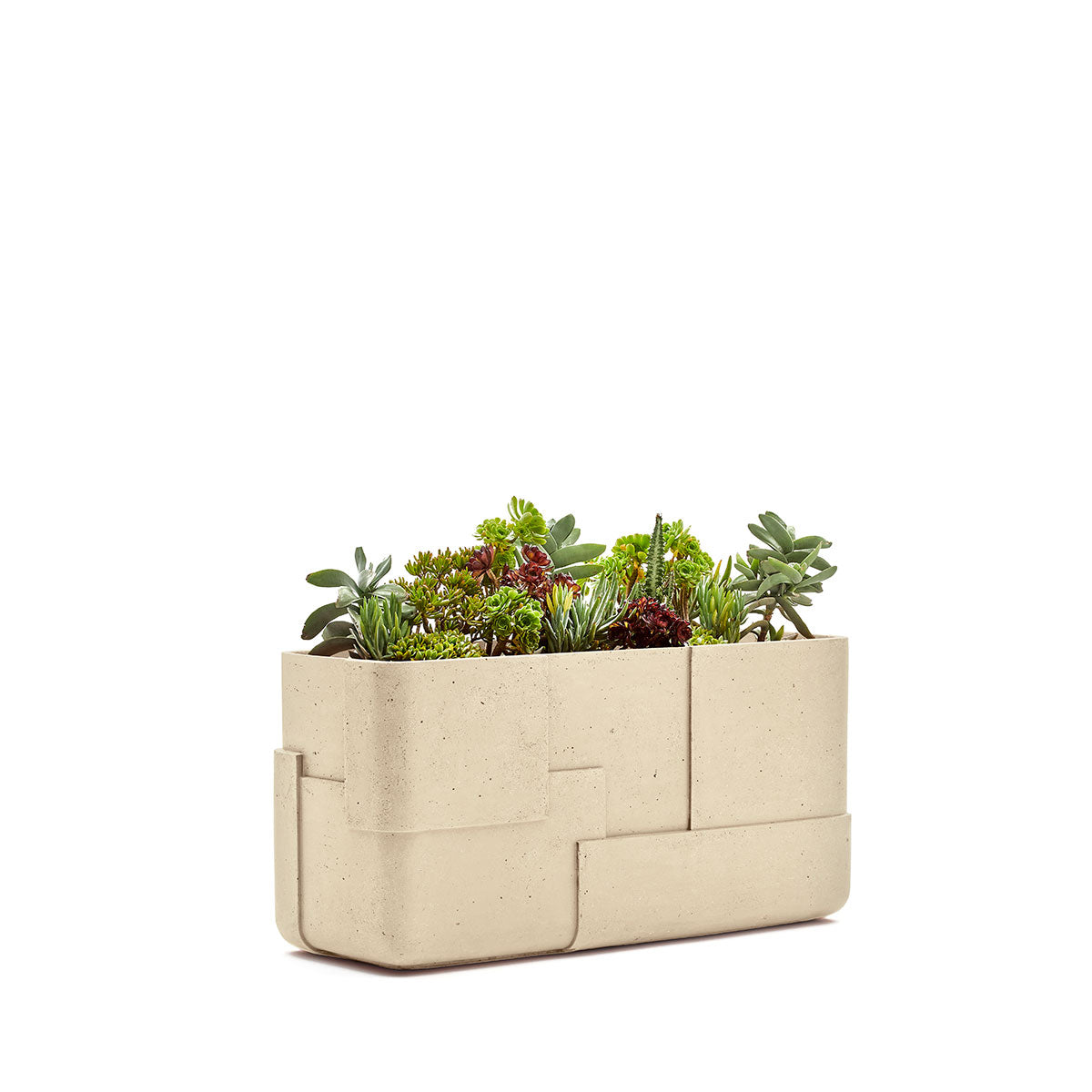 Aarde planter