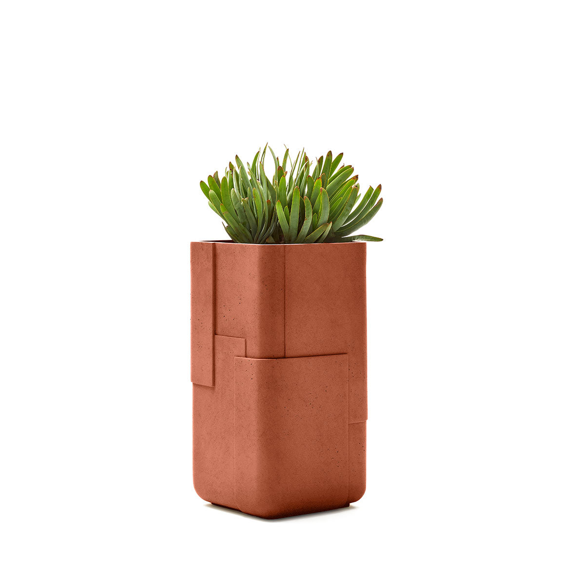 Aarde planter