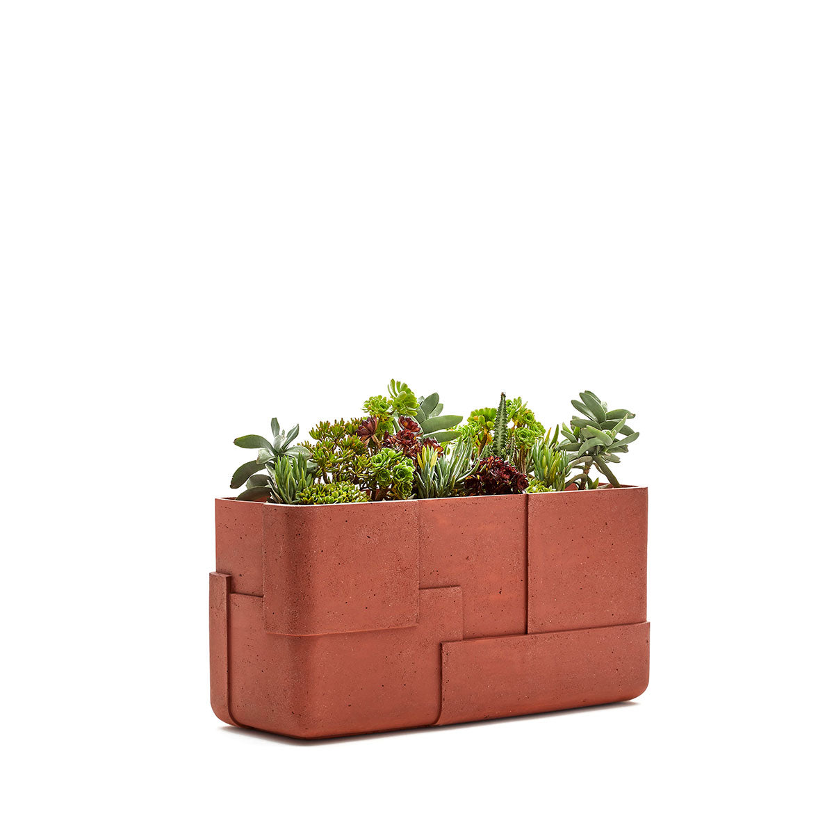 Aarde planter