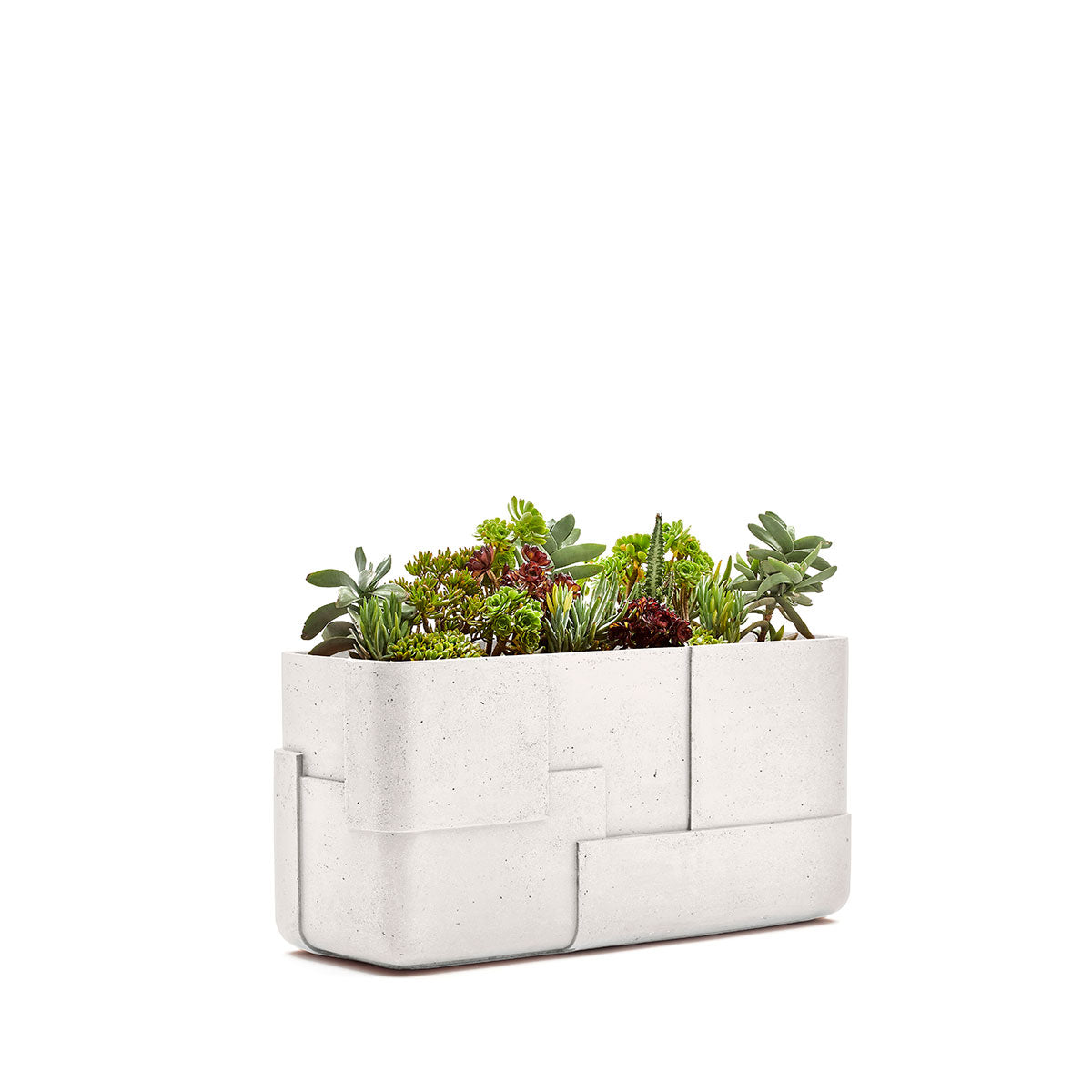 Aarde planter